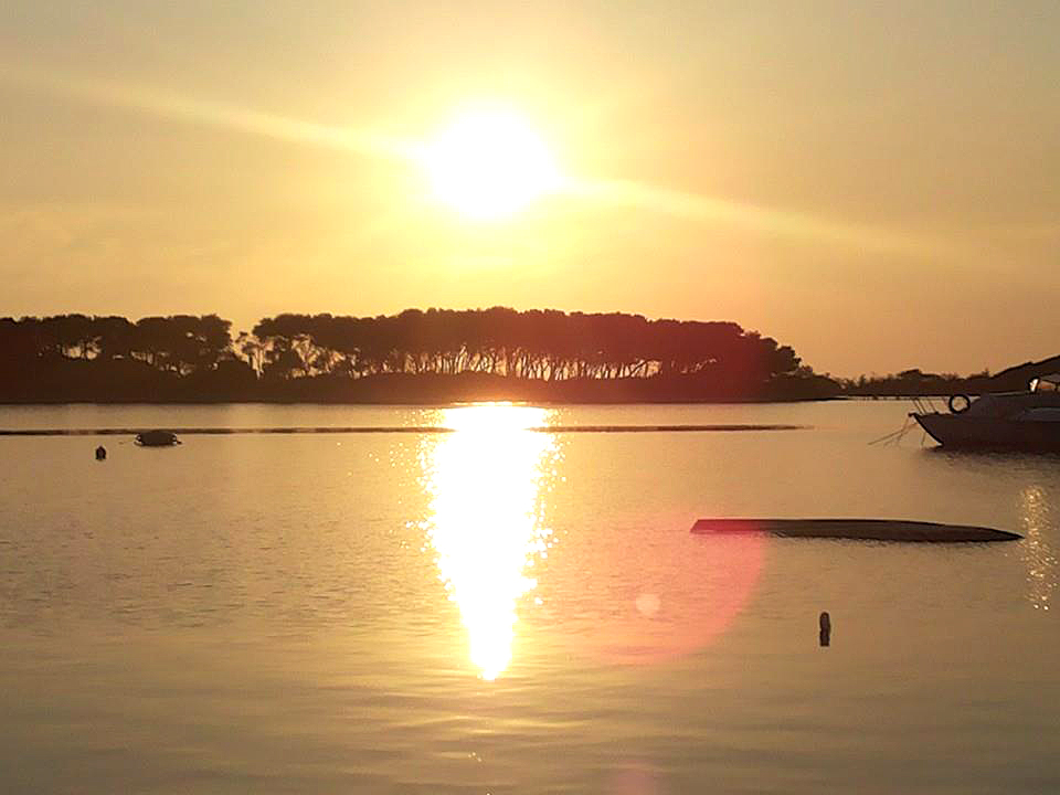 BAROCCOLECCE-PORTO CESAREO12