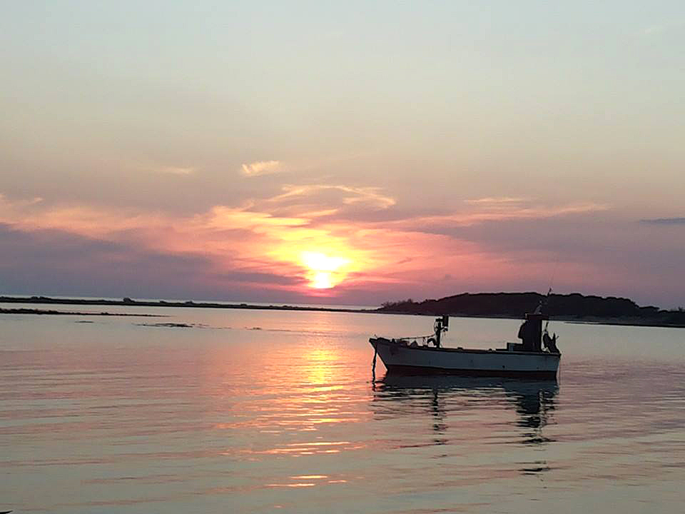 BAROCCOLECCE-PORTO CESAREO16