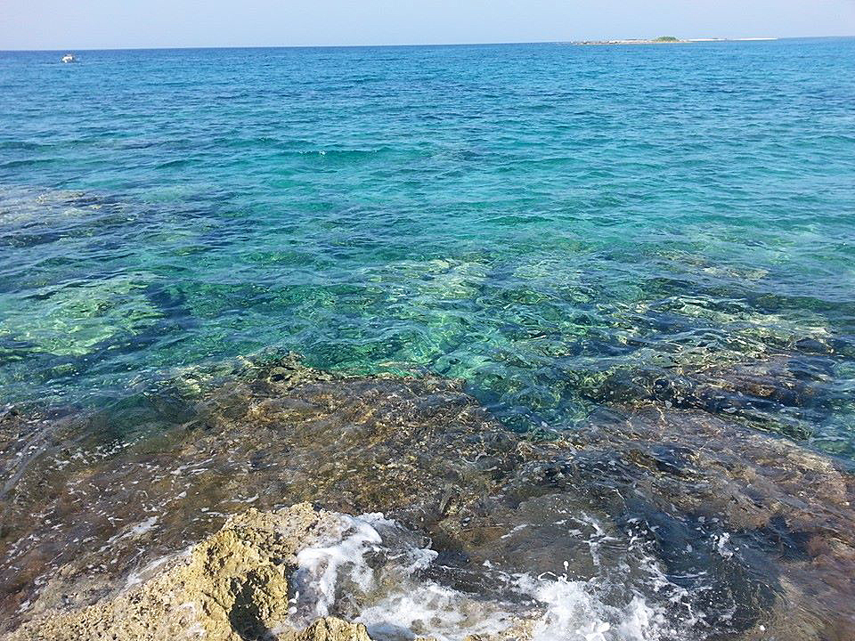 BAROCCOLECCE-PORTO CESAREO17